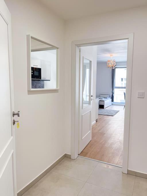 Platinum Xl 310 Apartment Prague